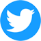 tweeter-icon